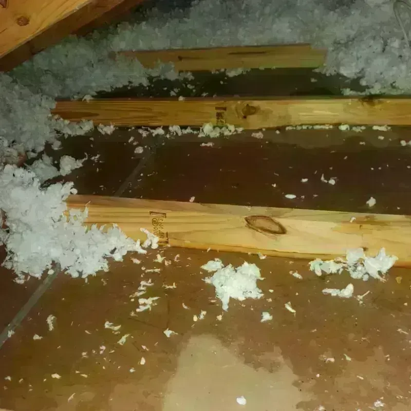 Attic Water Damage in Claryville, KY